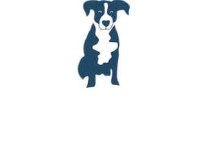 Blue Dog Tavern