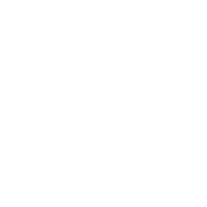 Burger City Grill