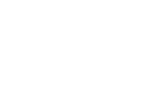 Flacos Tacos