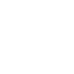 flock to the wok
