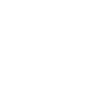 Flock to the Wok